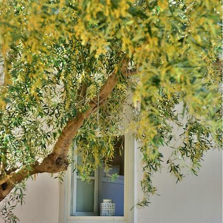 Douskos Beach House Lägenhet Hydra  Exteriör bild