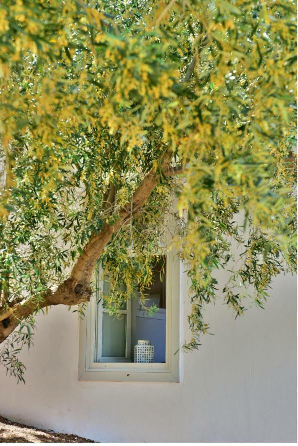 Douskos Beach House Lägenhet Hydra  Exteriör bild